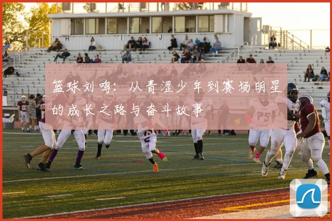 篮球刘鸣：从青涩少年到赛场明星的成长之路与奋斗故事